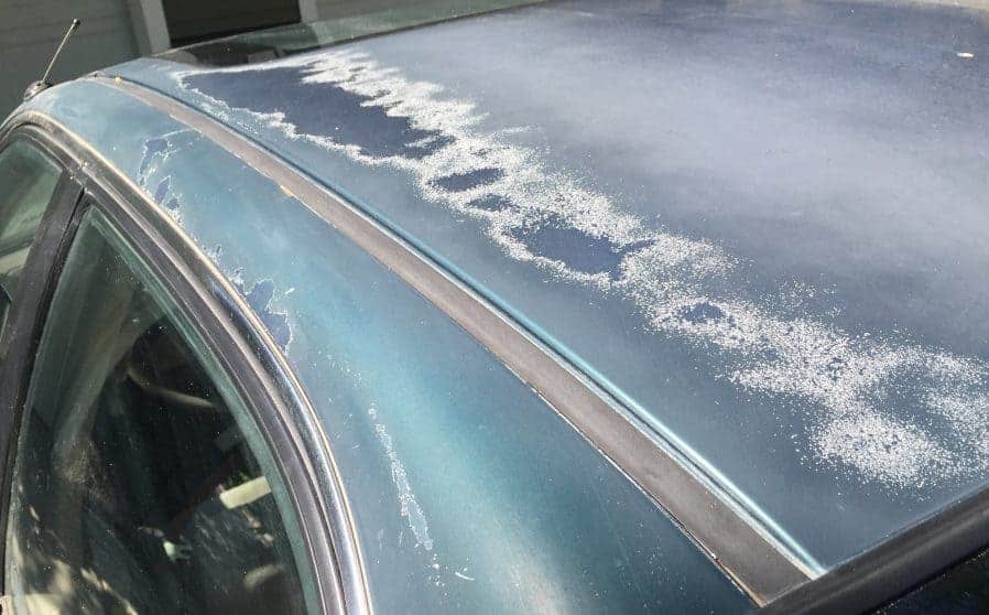 peeling-paint_2020-04.jpg