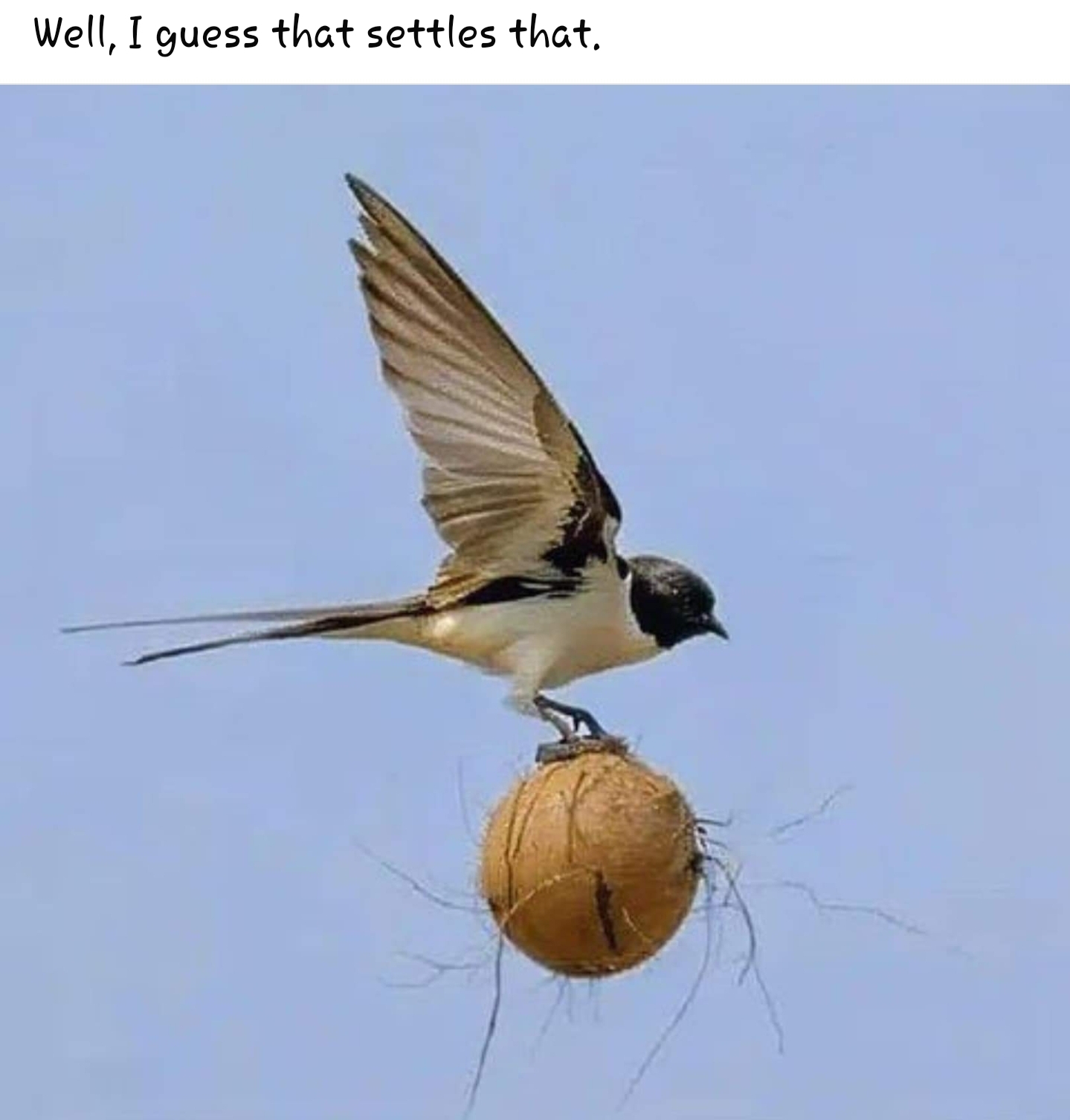 Screenshot_20240926_193238_Facebook.jpg