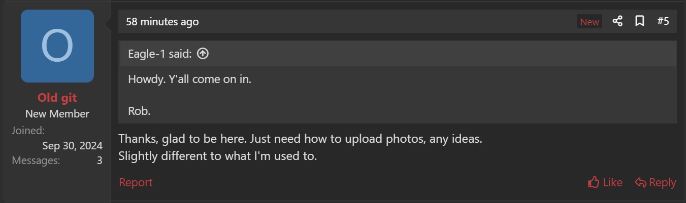 C.jpg