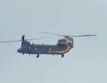 straight blades.png