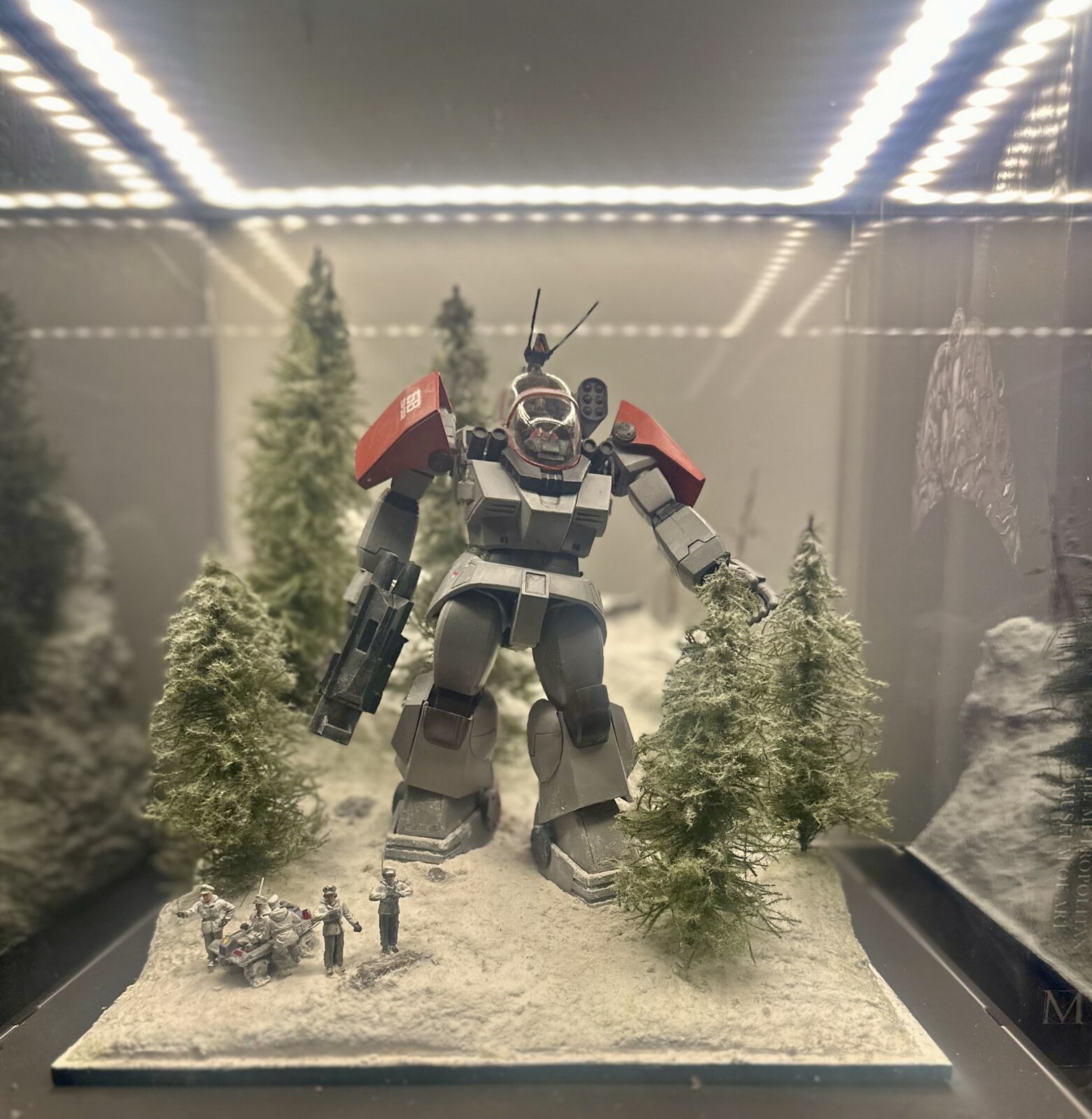 IMG_6301.jpeg