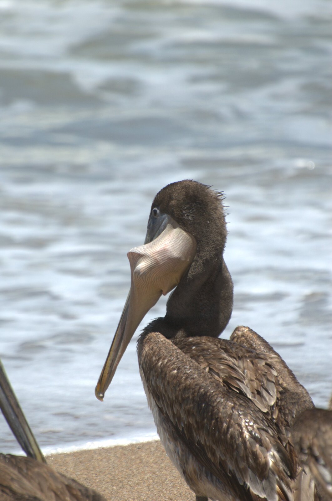 DSC_3034.jpg