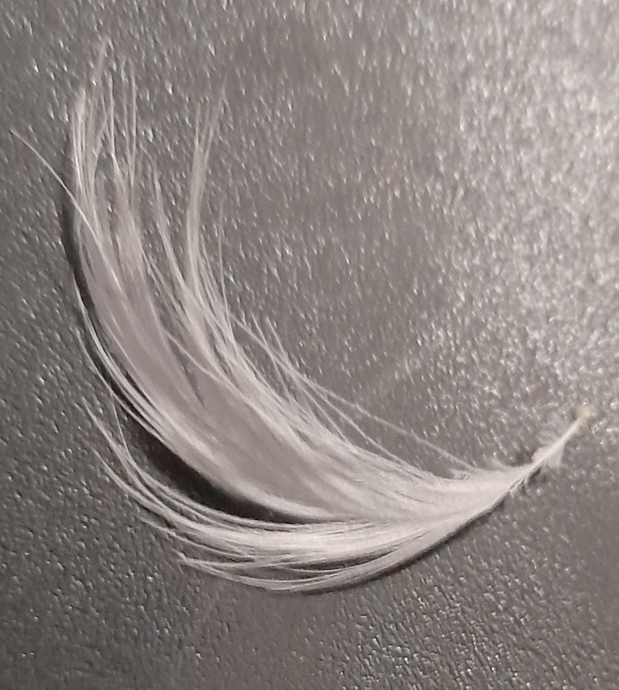 20250528_180612.jpg