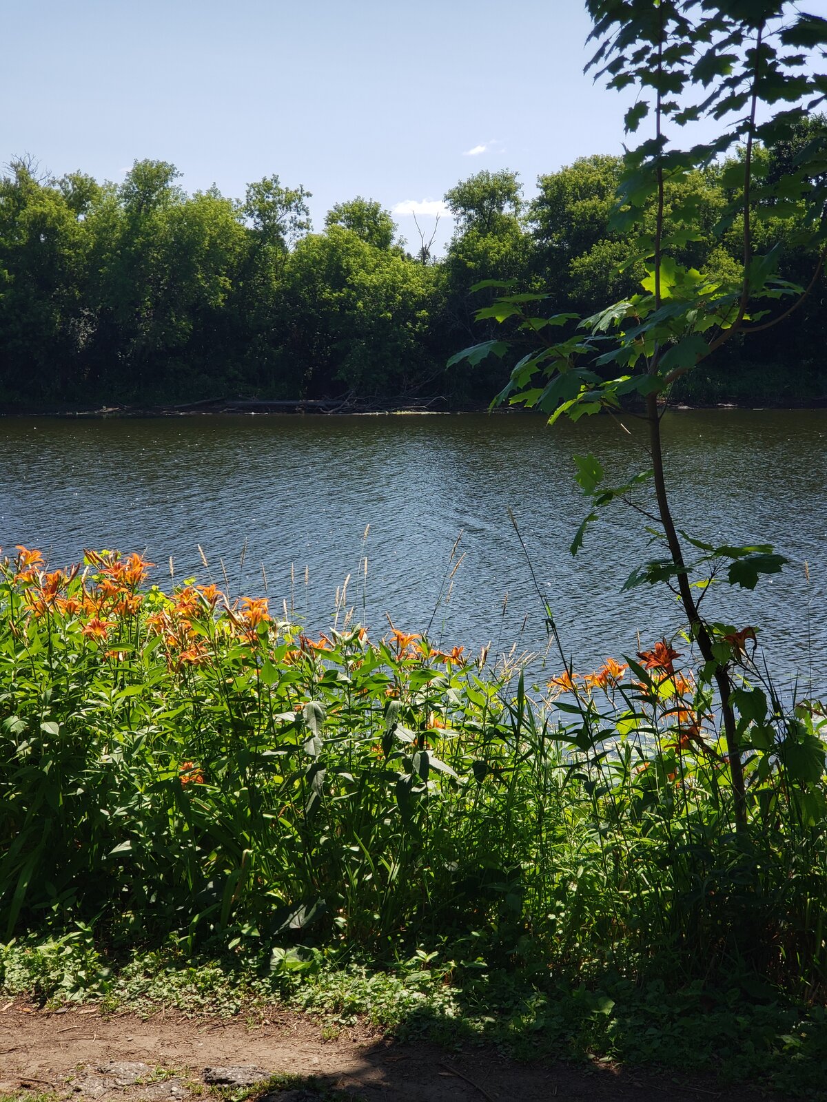 20250704_112056.jpg