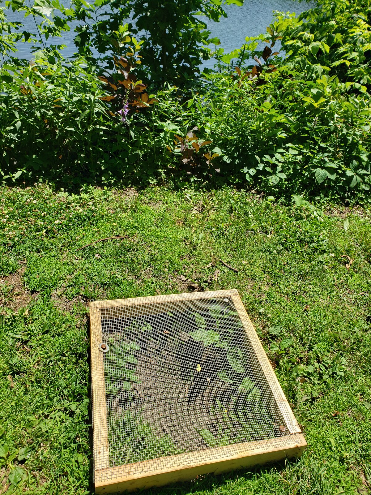 20250704_114519.jpg