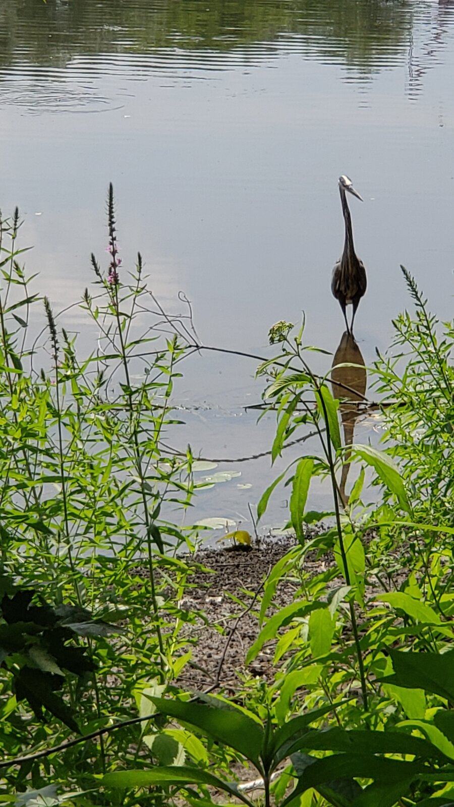 20250711_113742.jpg