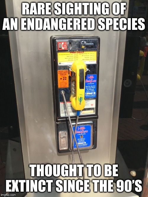 1752618201938.png