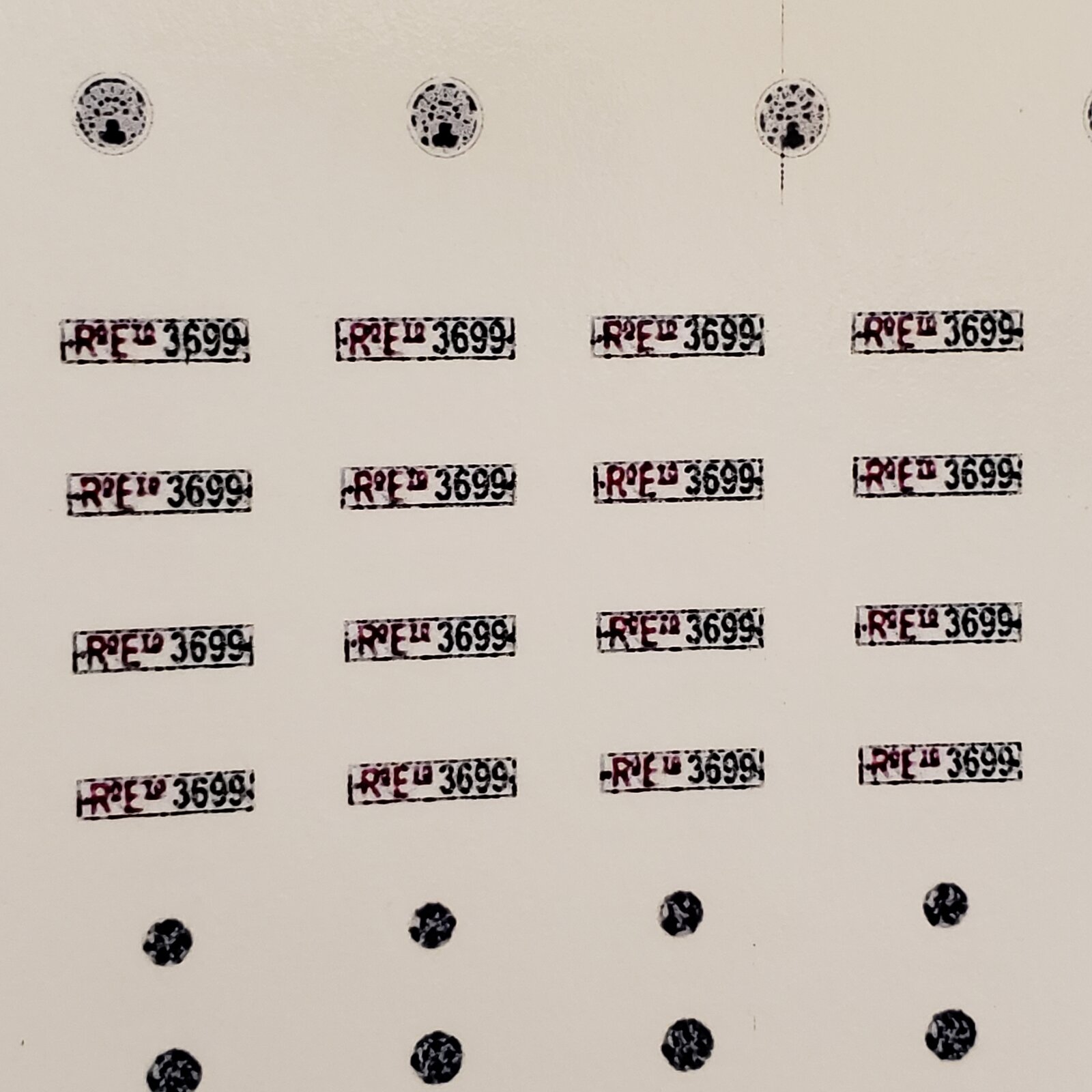 17528845853708505295594505650204.jpg