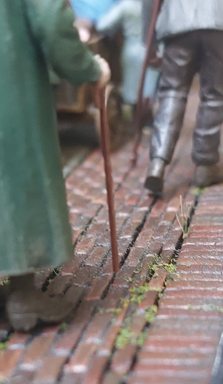 20250823_093250.jpg