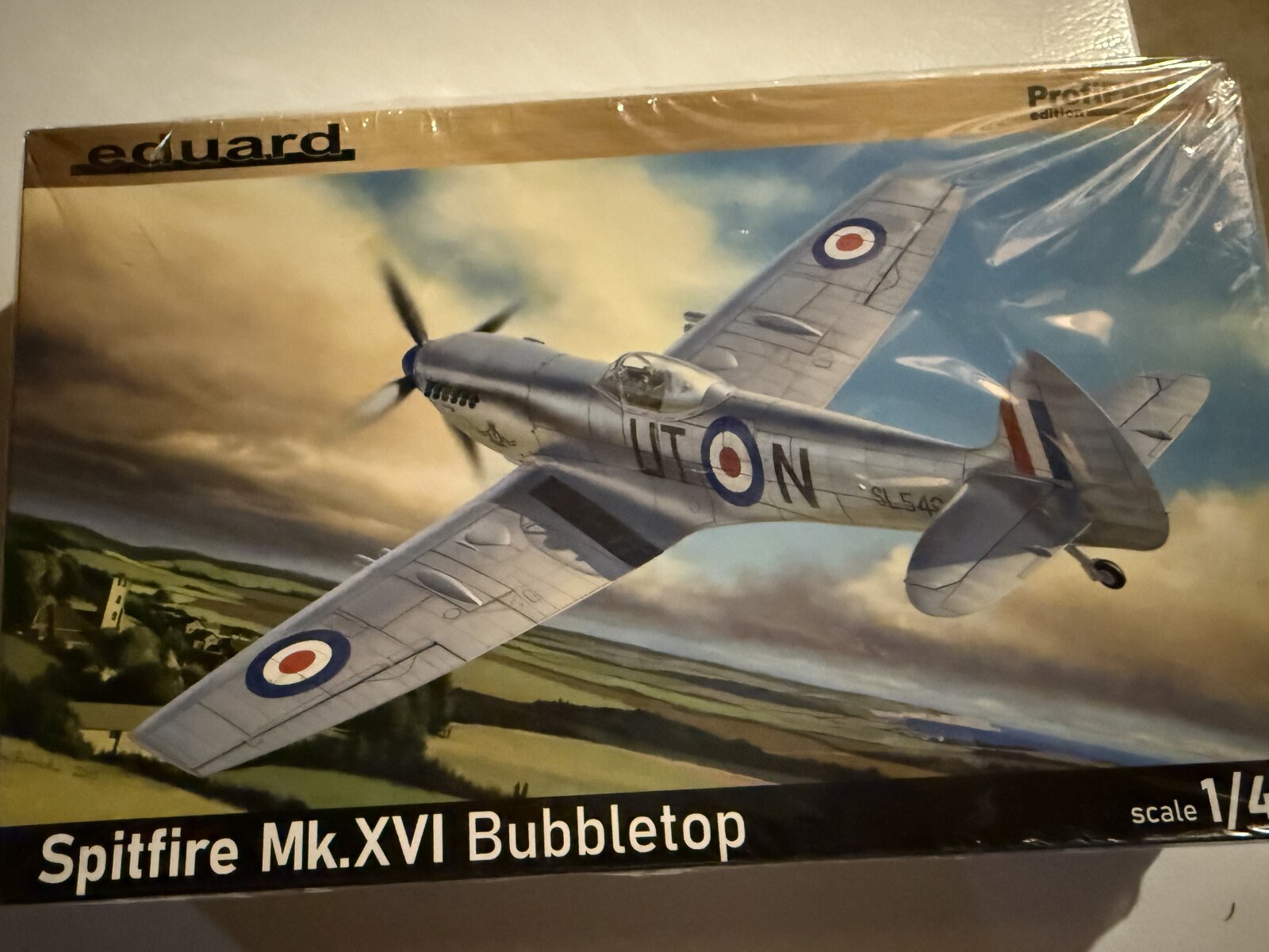 IMG_8358.jpeg