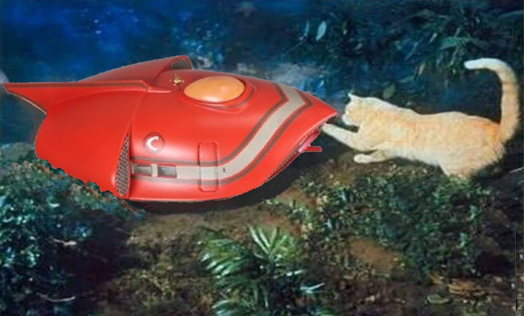 54783293318_6900d51dc3_b.jpg 54783293318_6900d51dc3_b.jpg