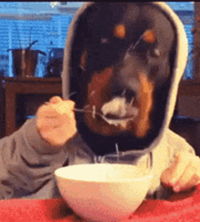 sloppy-eating.gif