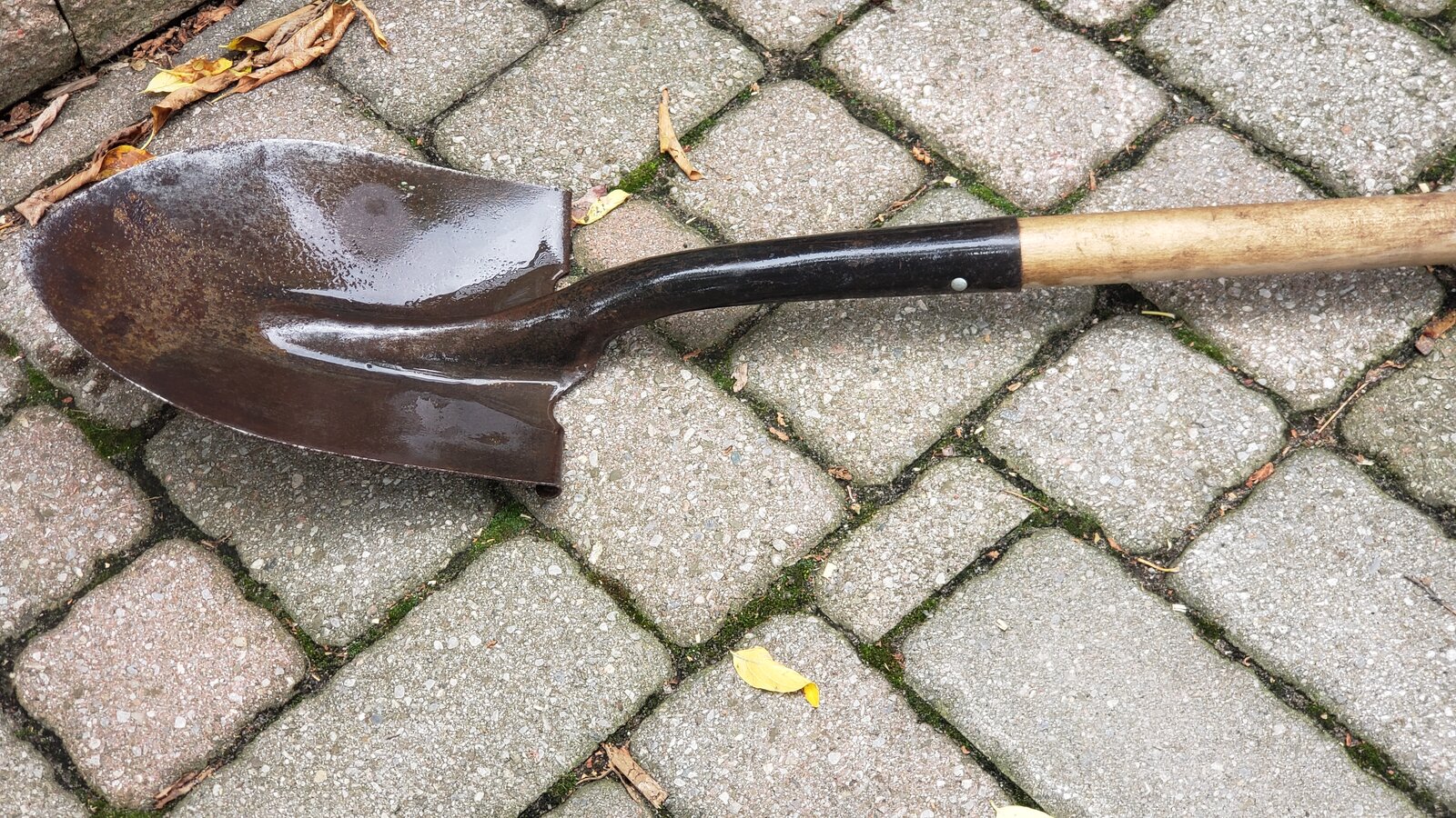 20250926_161330.jpg