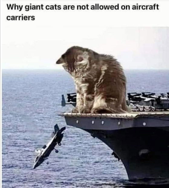 1761177105809.png