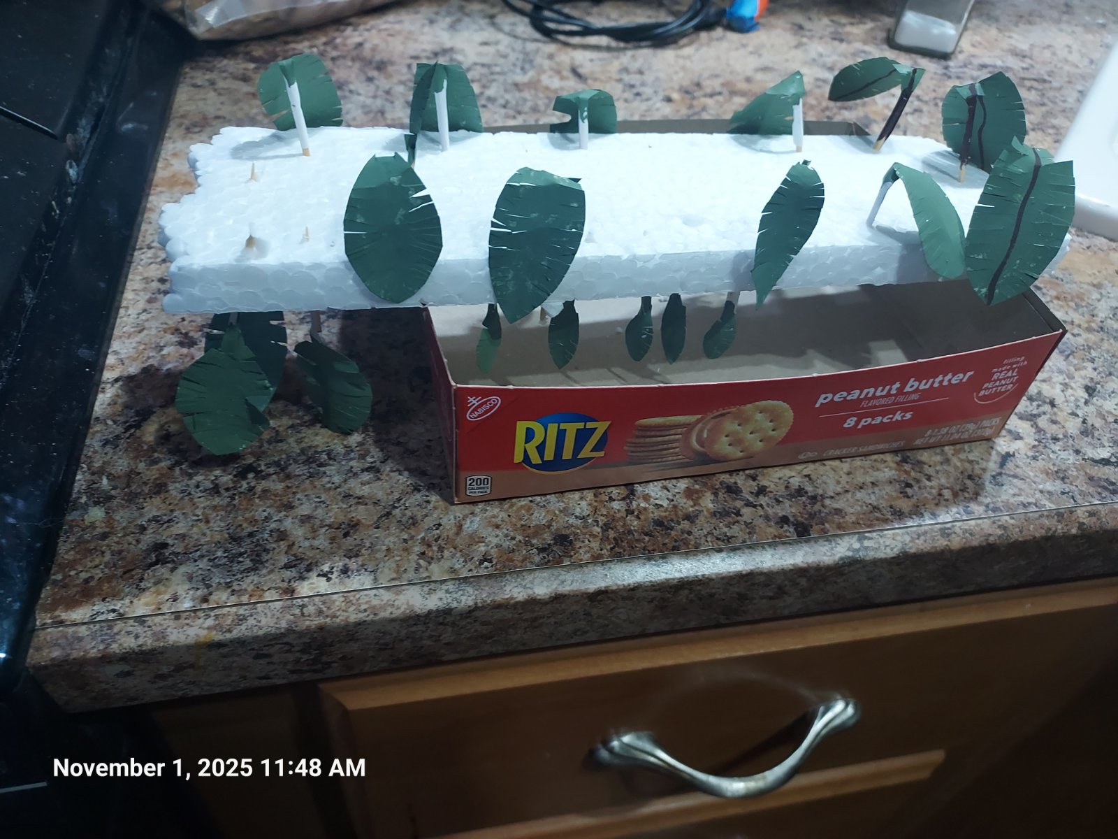 20251101_114850.jpg