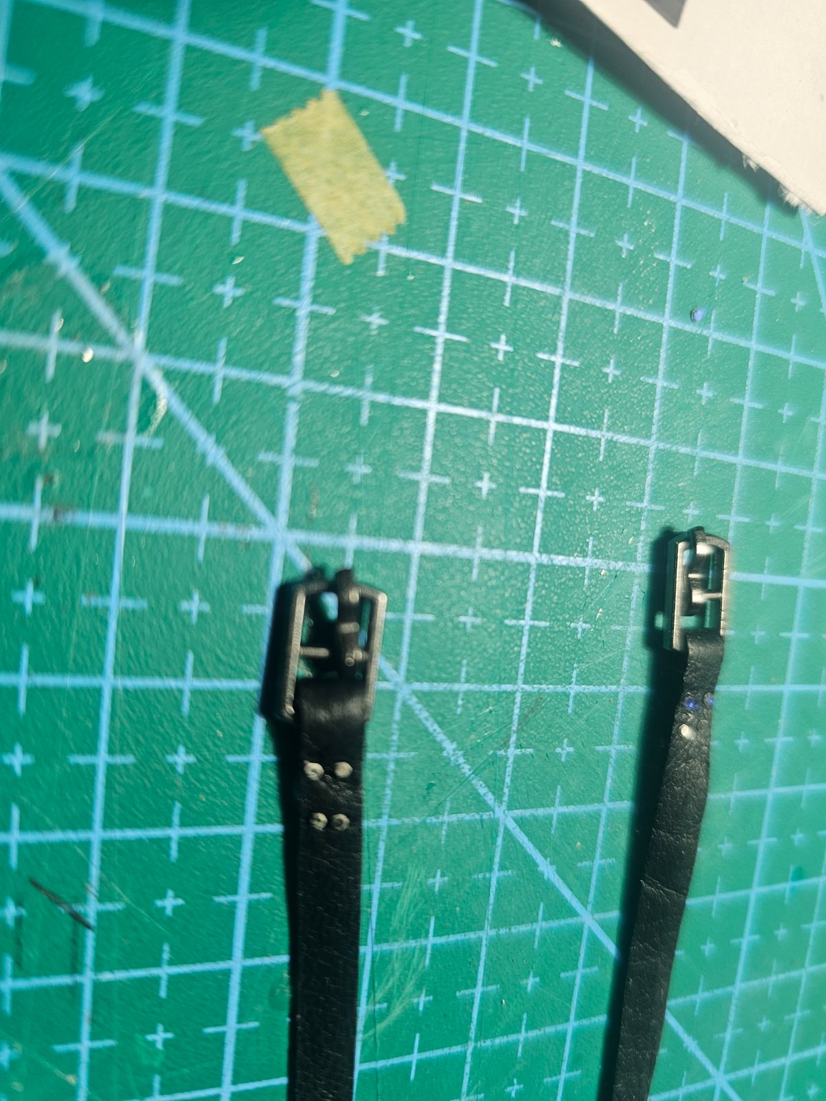 20251111_085037.jpg