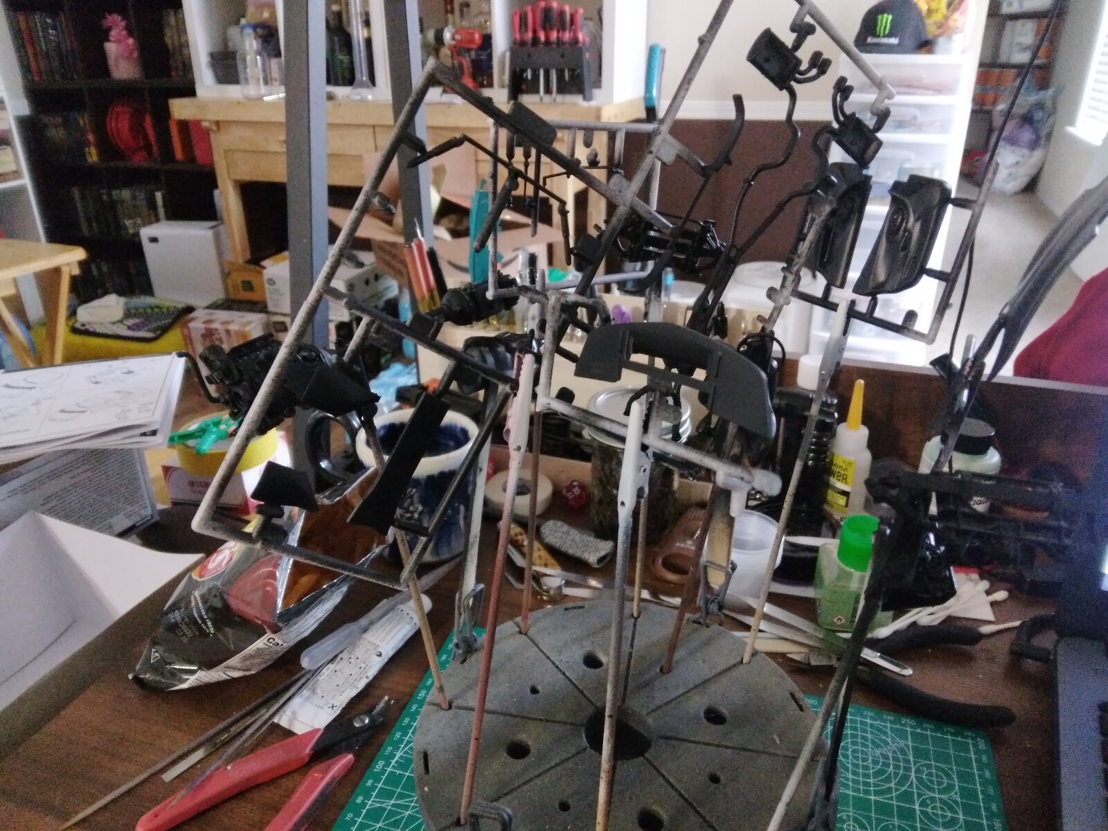 20251124_130310.jpg