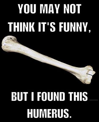 Humor-us.jpg