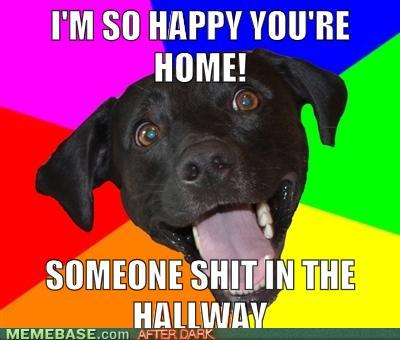 Doggy tell.jpg