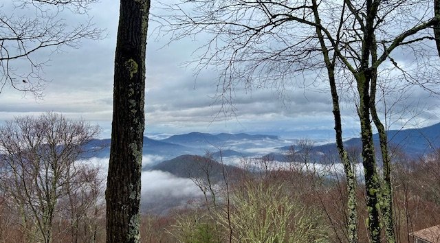 IMG_1865.jpg