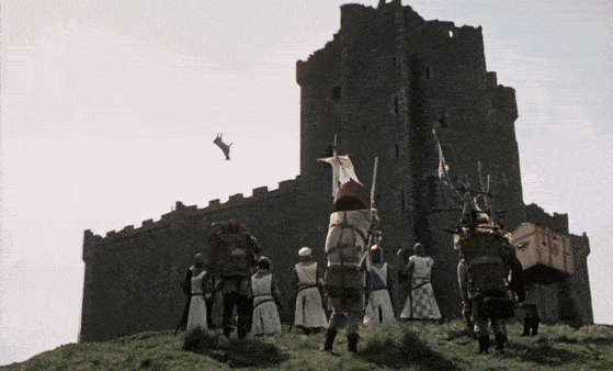 nzog65etxin81.gif