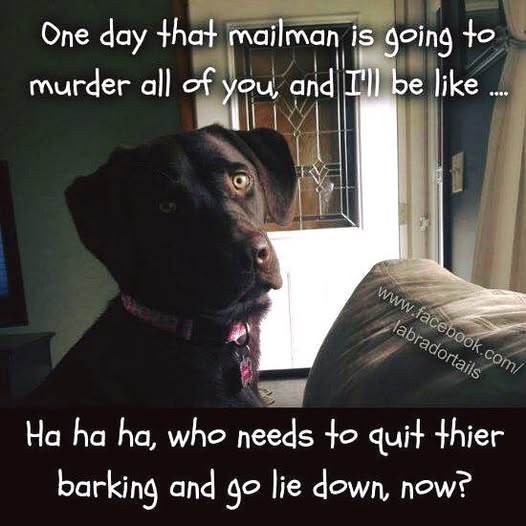 Fair Warning!.jpg