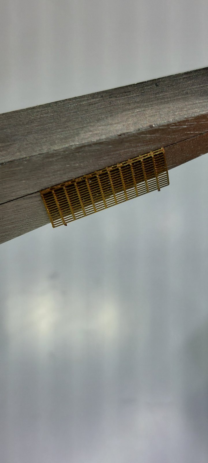 20251231_114940.jpg