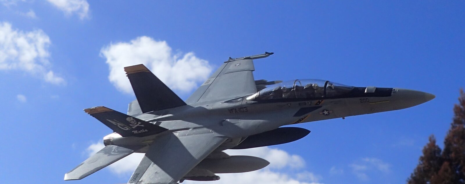 P2211914a.JPG