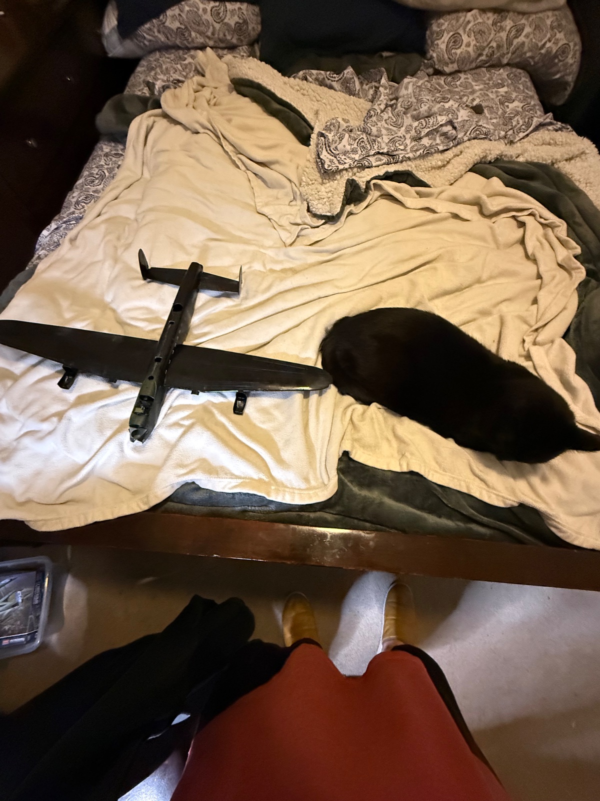 IMG_6883.jpeg