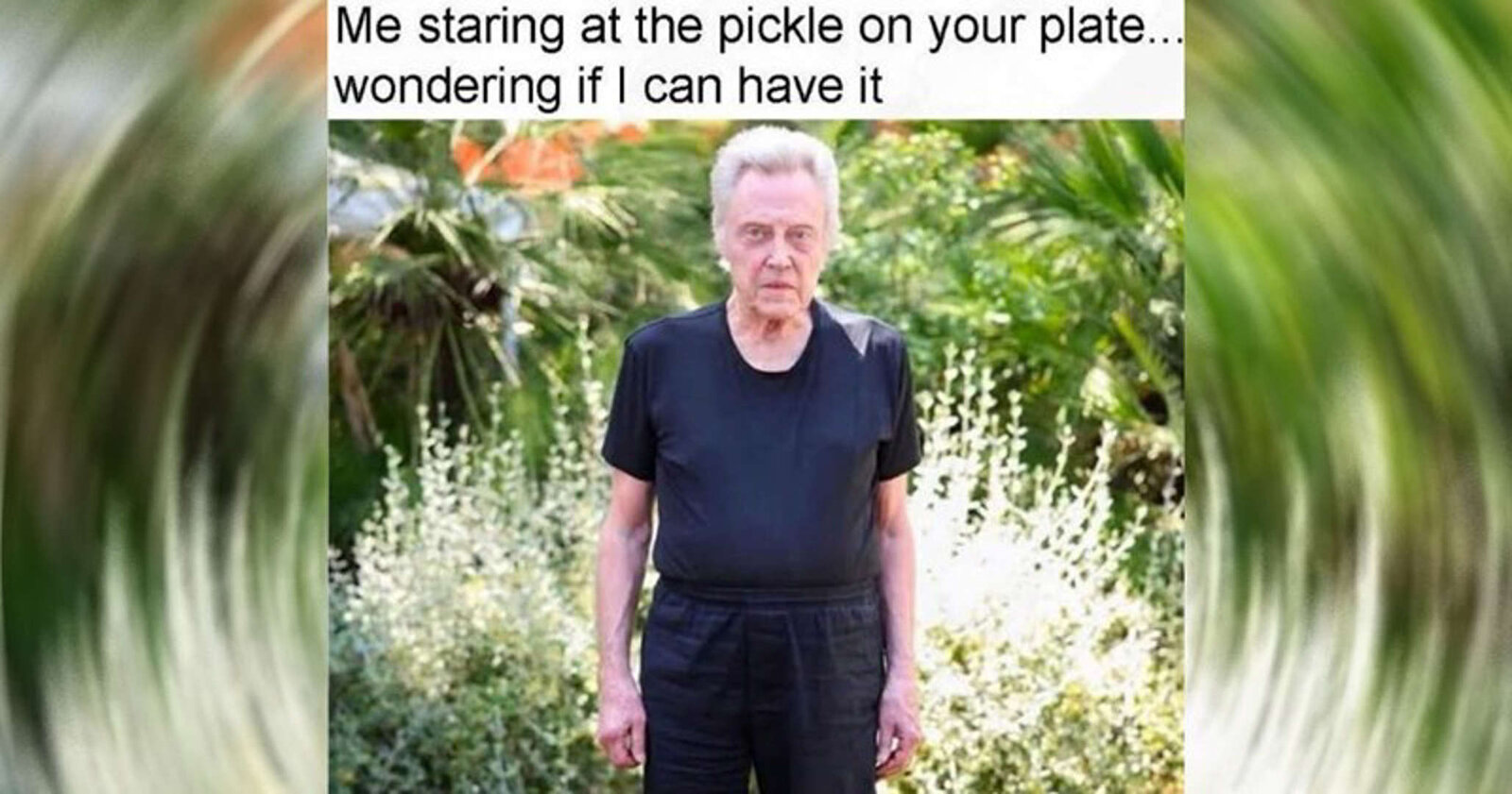 AA1BNNww.jpg