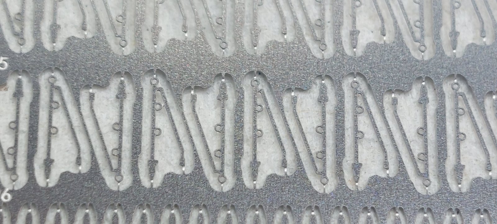 20260224_195646.jpg