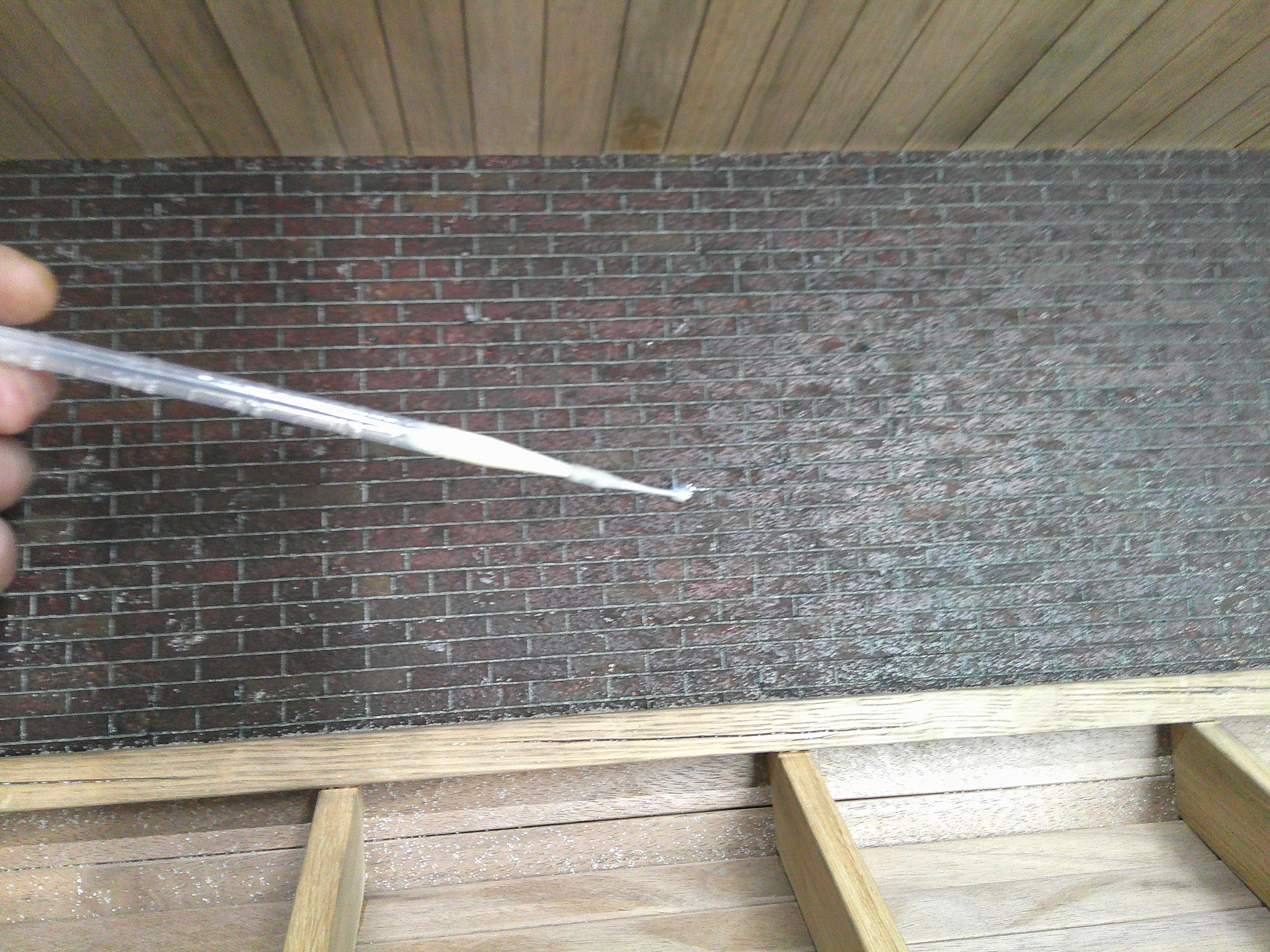 DSCF0269.JPG
