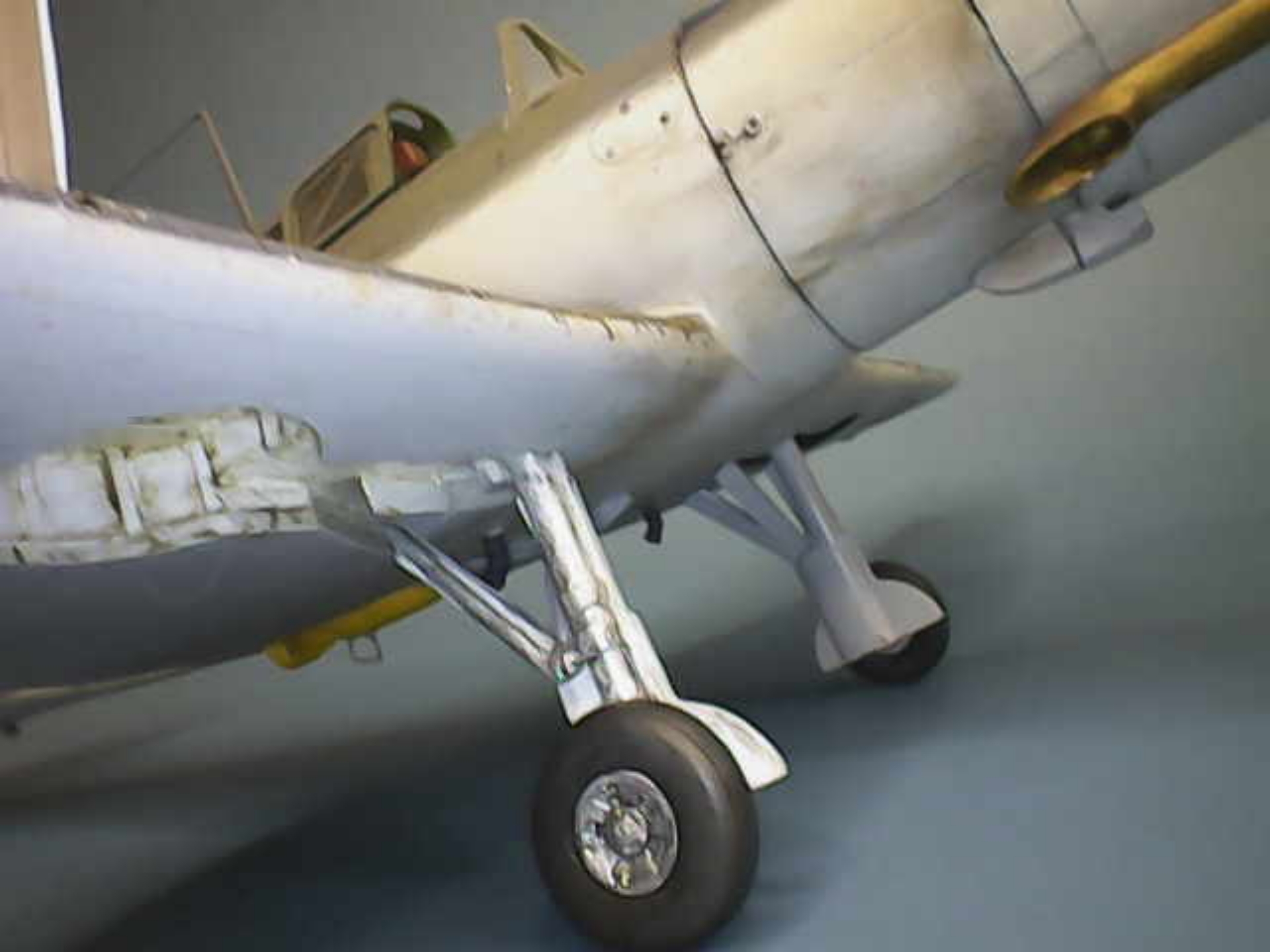 1711.jpg