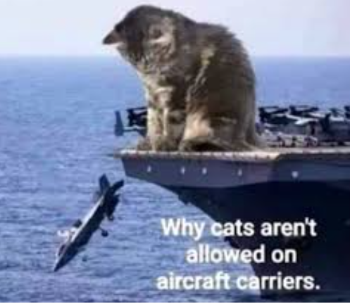 1775151102183.png