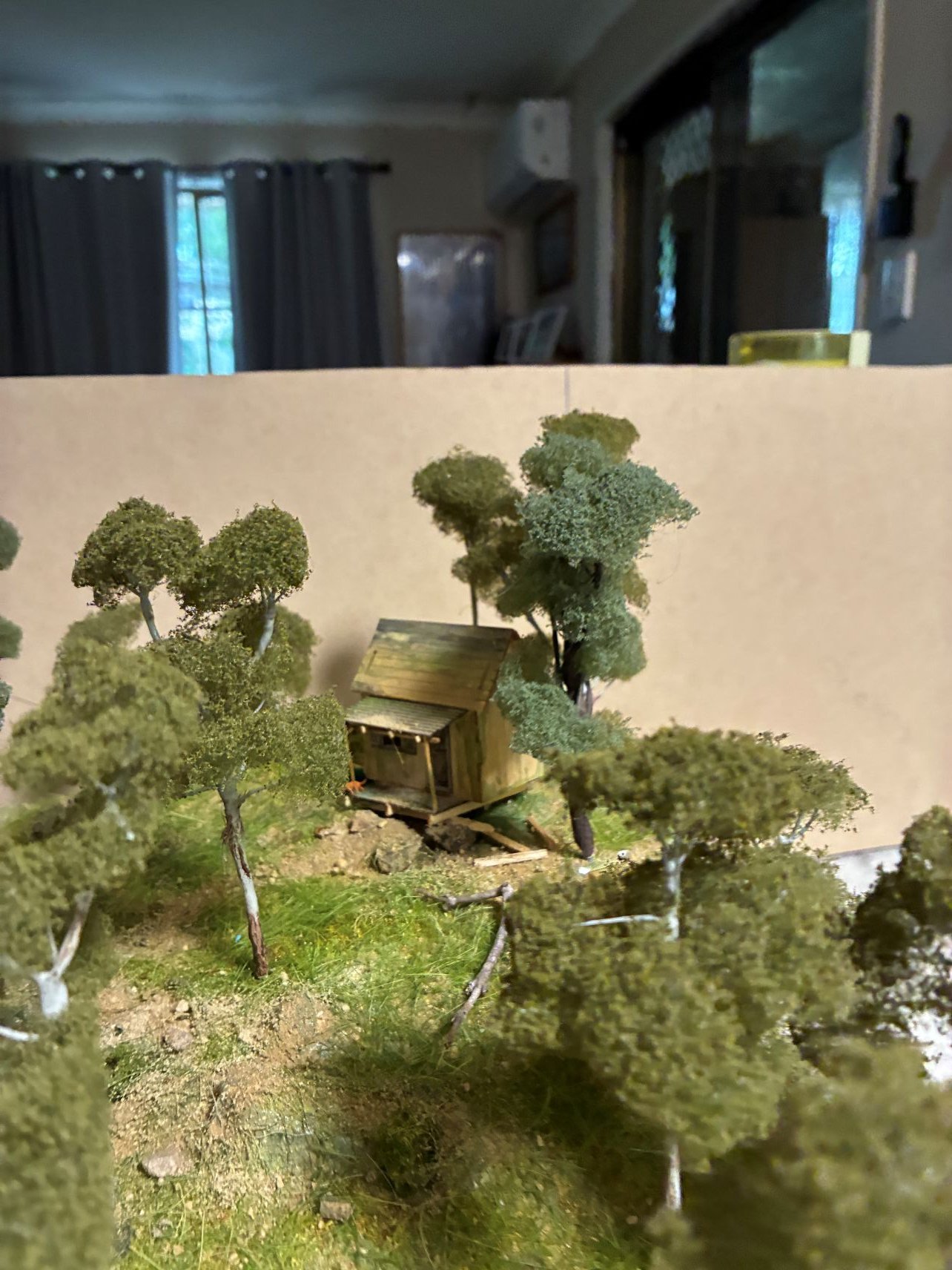 Greely's shack 85.JPG