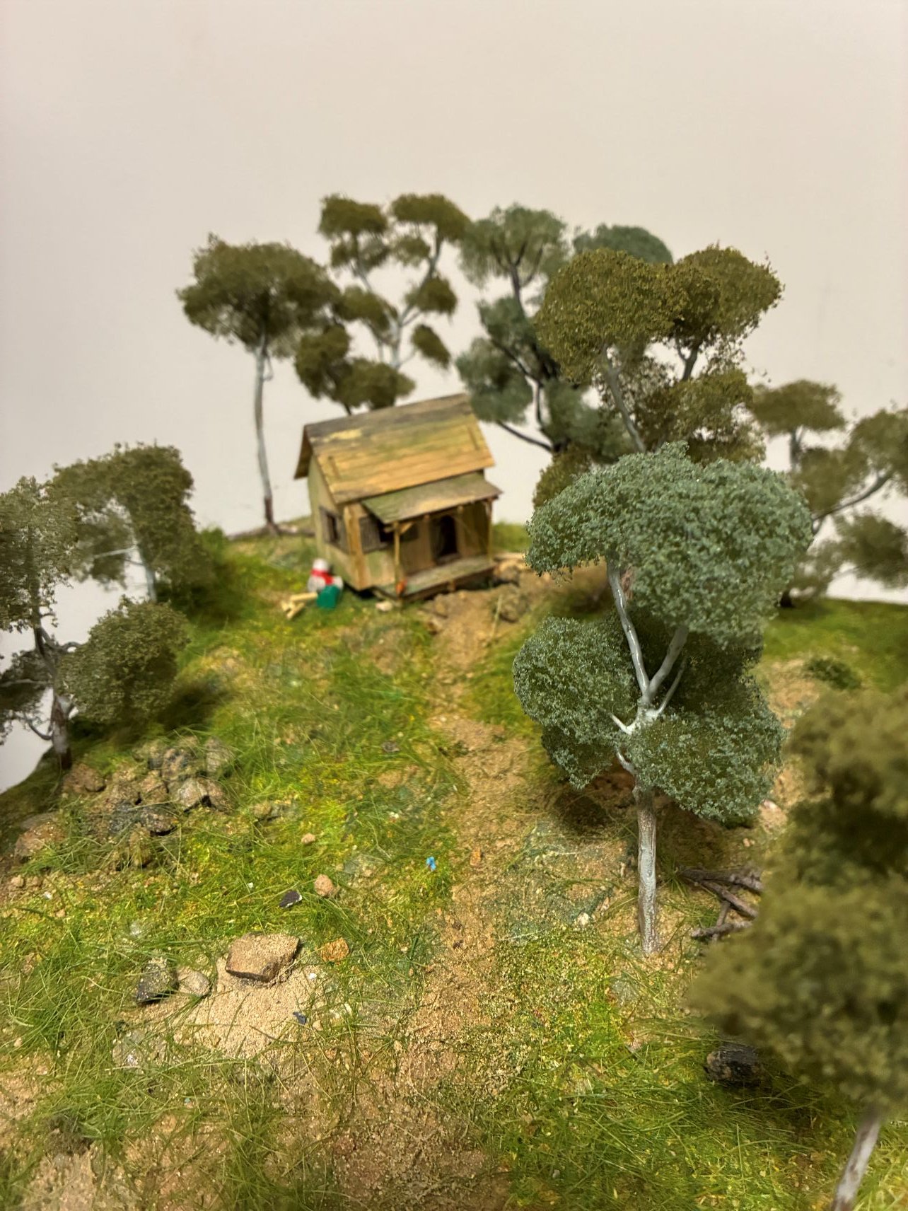 Greely's shack 87.JPG