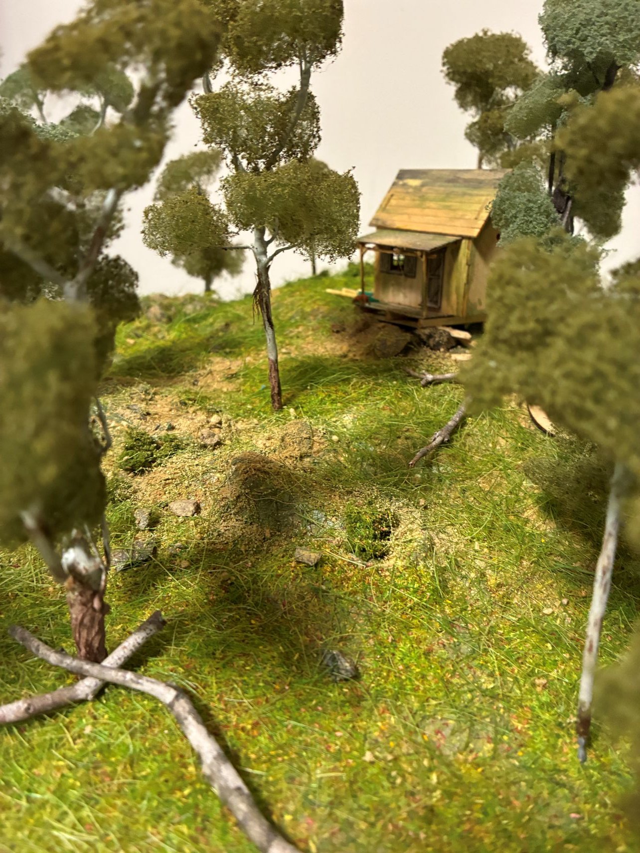 Greely's shack 90.JPG