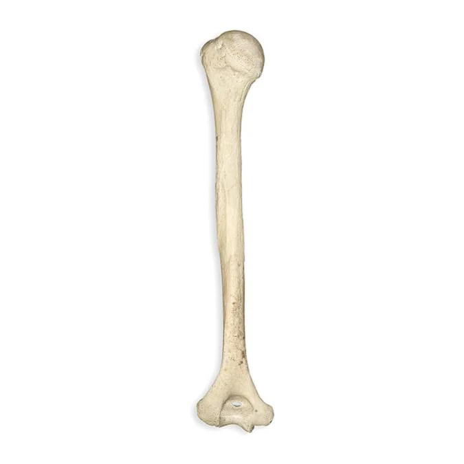 1777814662513.png
