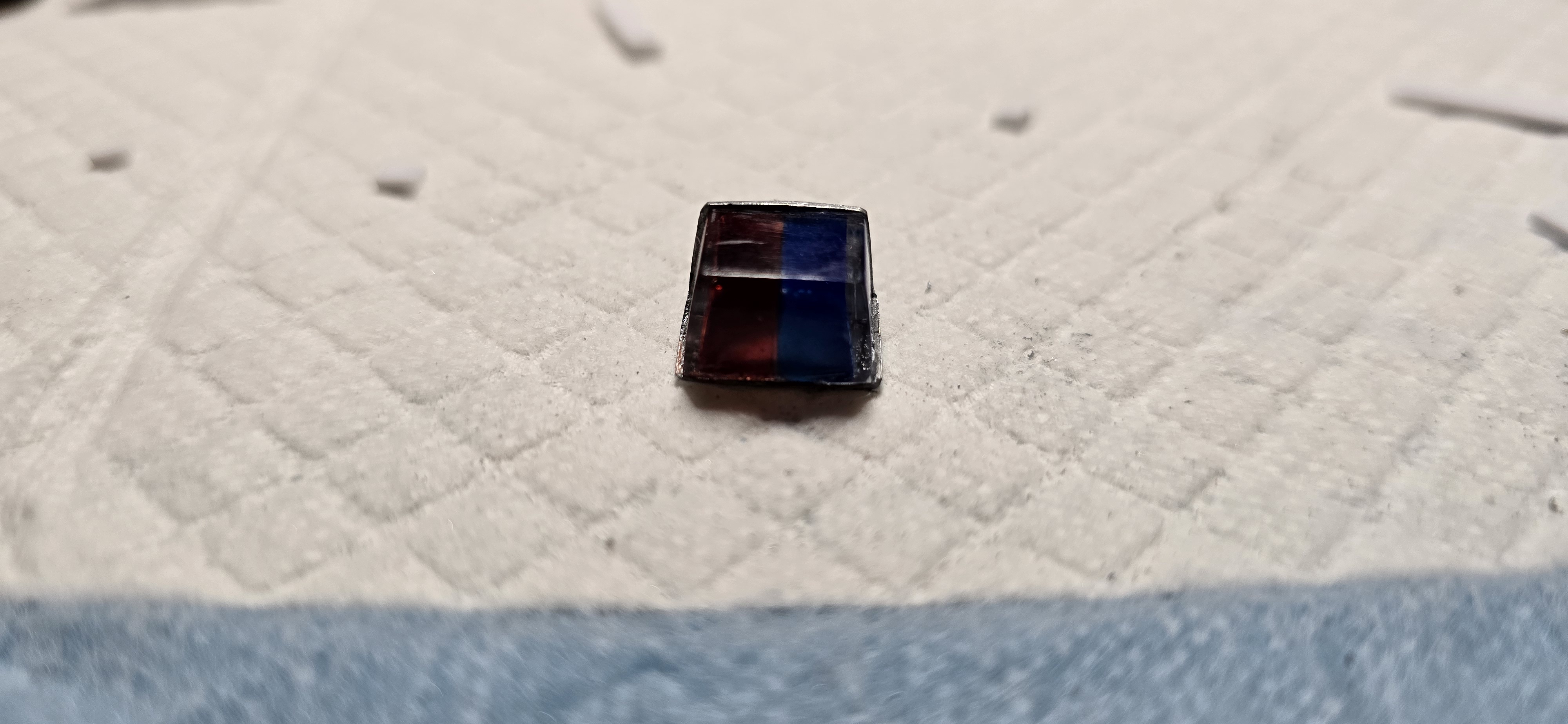 1000010194.jpg