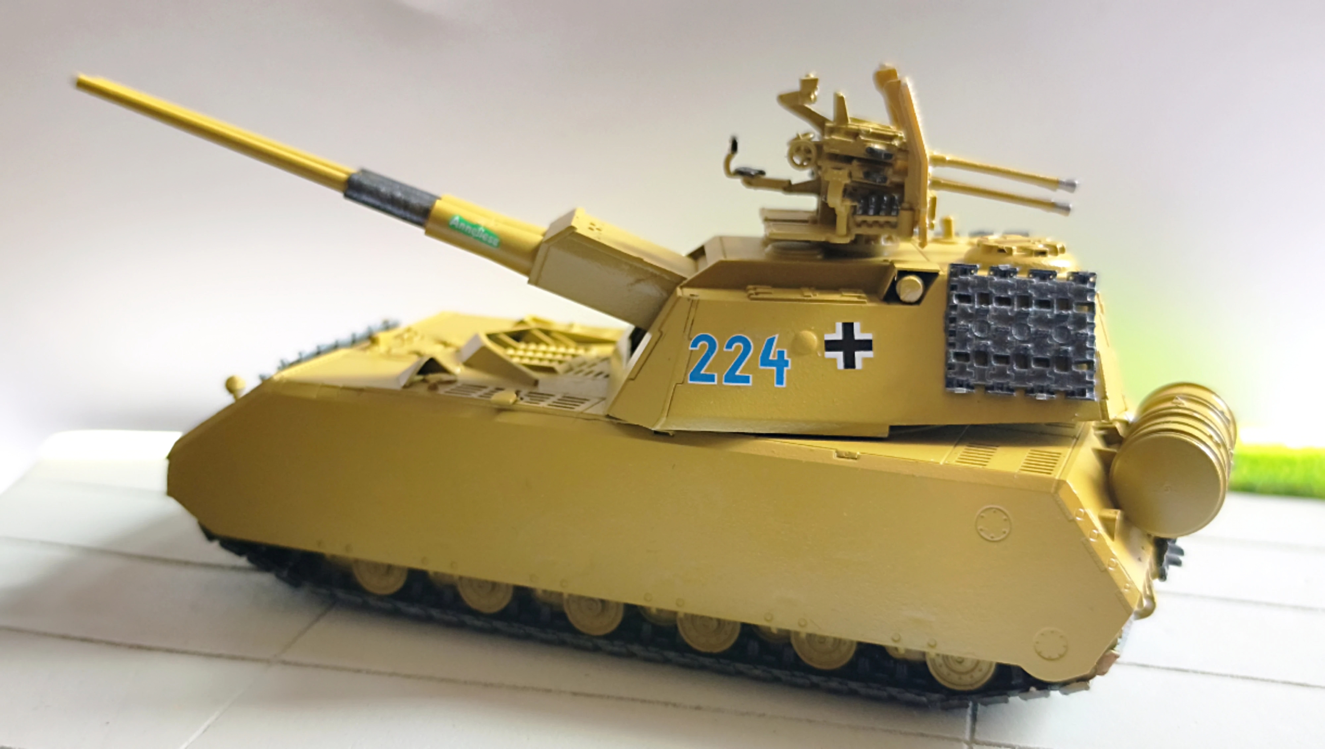 5317.jpg