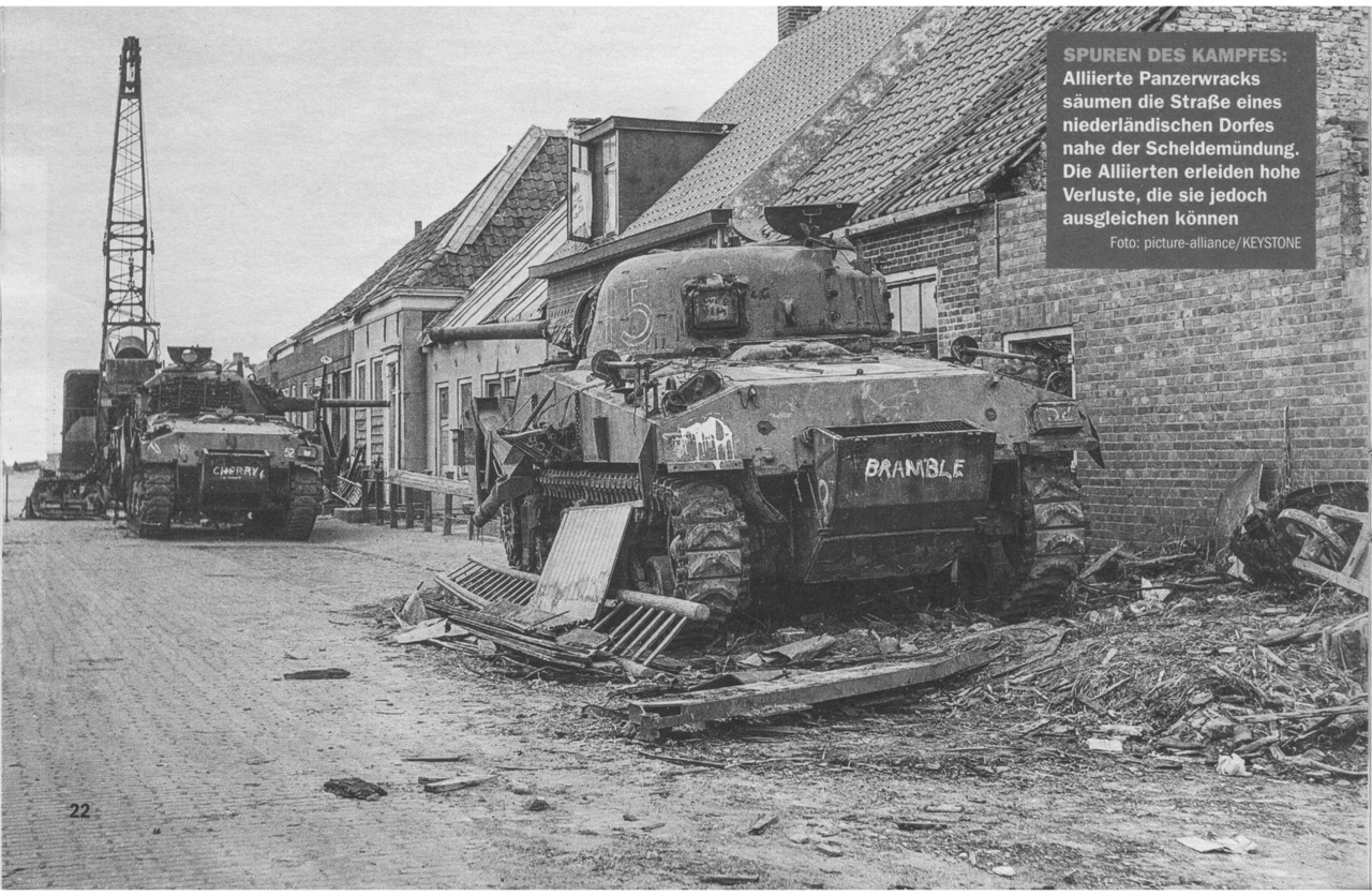 Crabs T148656 & Dandy Dinmont.jpeg