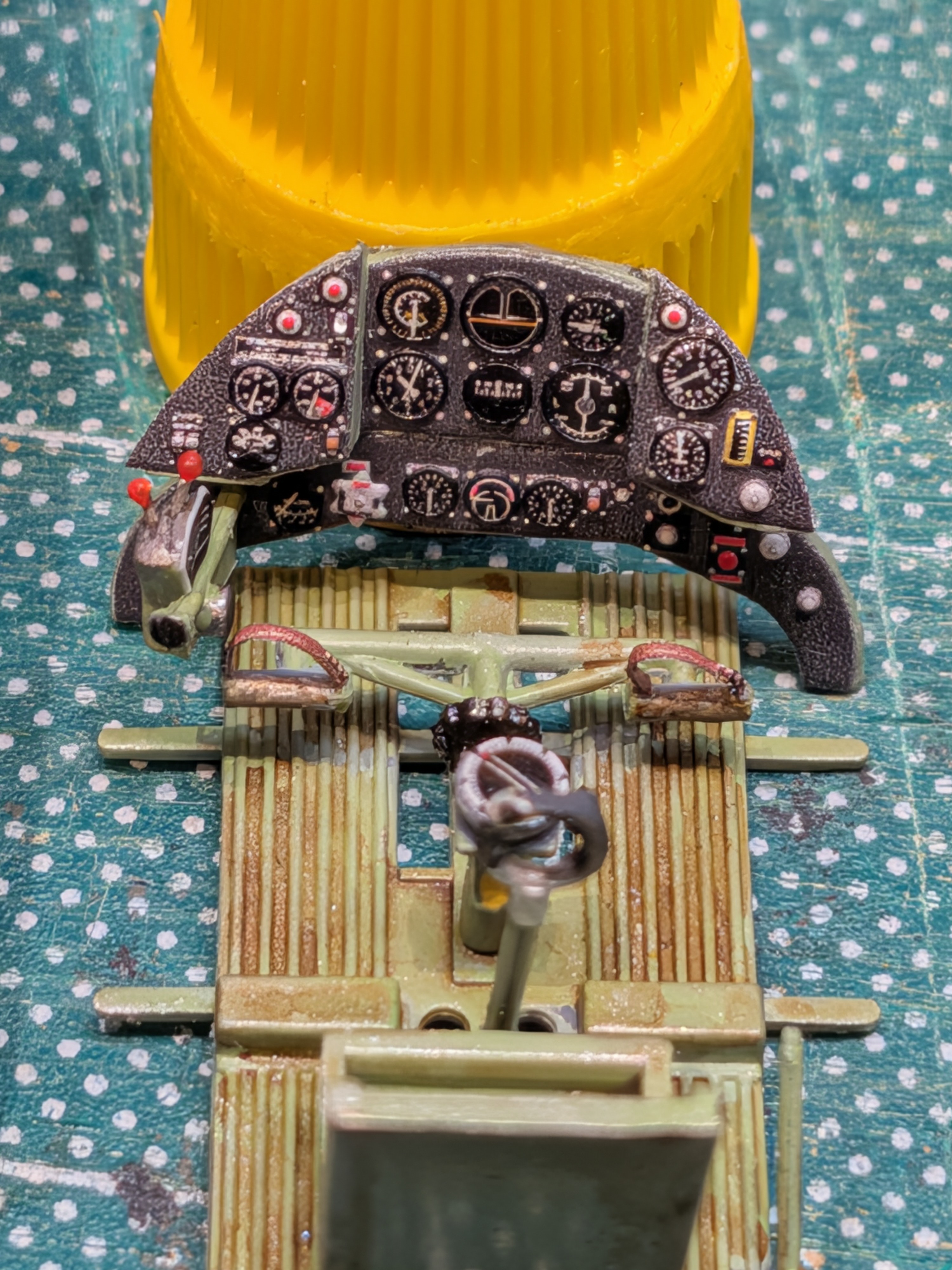 3854.jpg