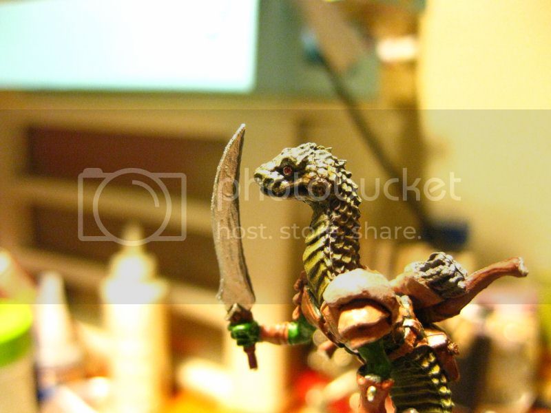 lizardwarrior003800x600_zpsf58bdb7d.jpg