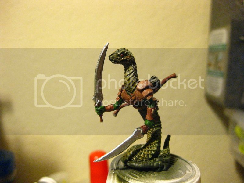 lizardwarrior005800x600_zps01e18bc7.jpg