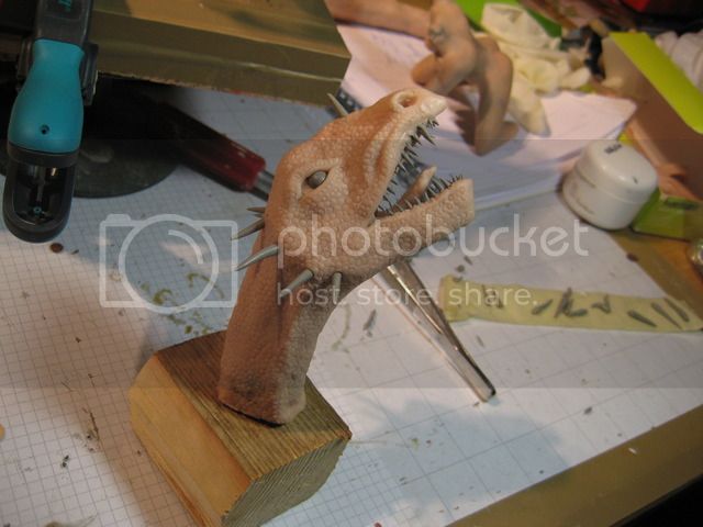 IMG_7344_1.jpg