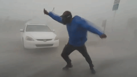 nm4kfxqd95mamfheuu2oreiosykc822i462m5fvo&rid=giphy.gif