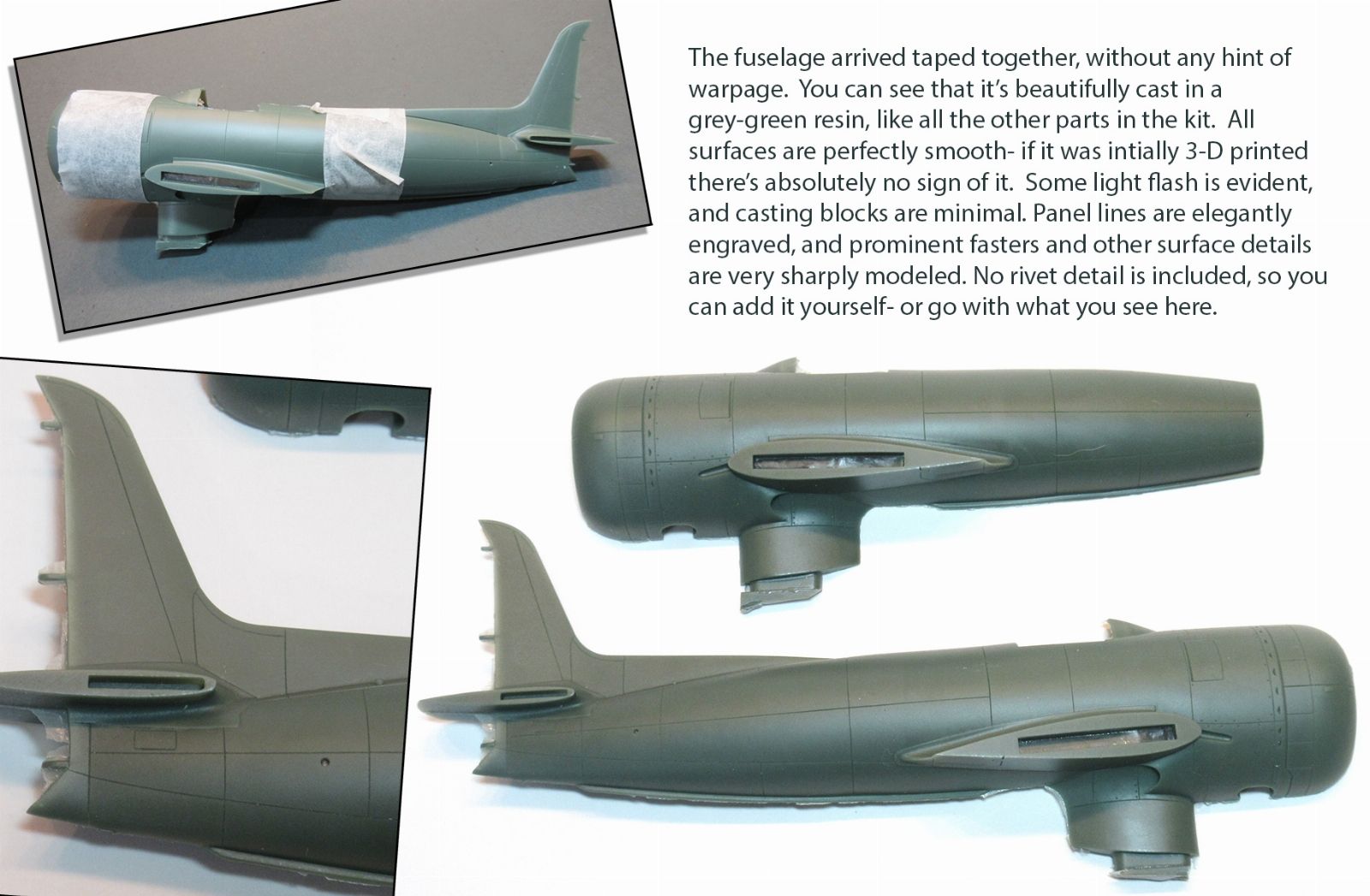 Seahawk_002.jpg