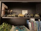 IMG_6364.jpeg