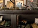 IMG_6366.jpeg