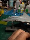 IMG_6382.jpeg